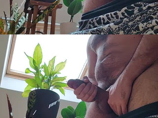 Solo masturbation / cumshots compilation