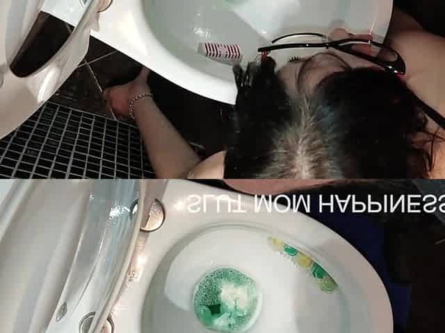 How to clean a toilet bowl