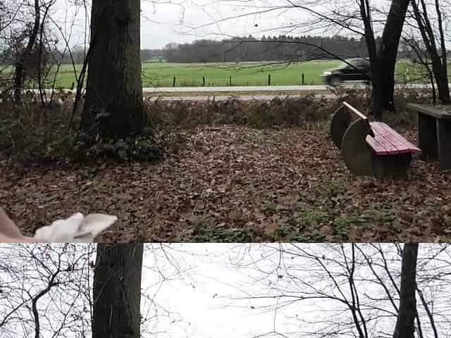 Blonde Amateur Miley Weasel Risky Public Fuck in a Car