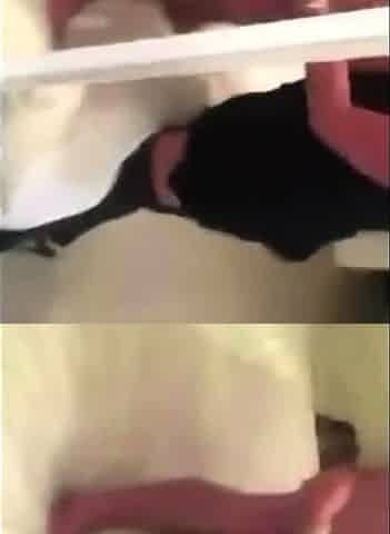 British MILF Linda's Homemade Glasgow Video