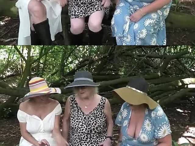 If You Go Down to the Woods.