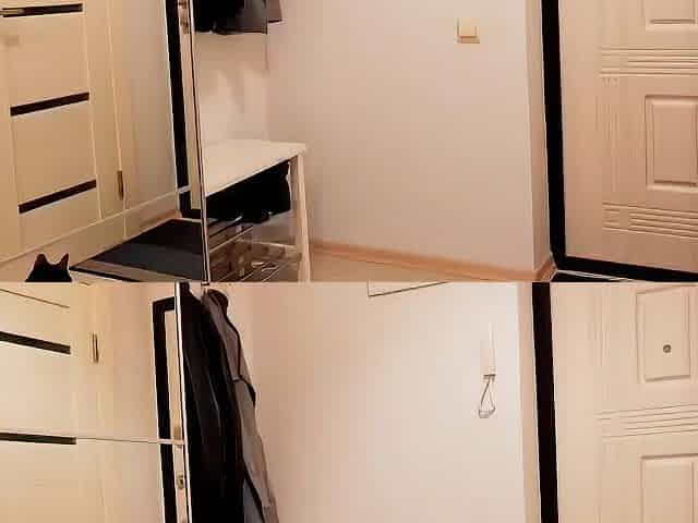 My lascivious roommate wipes my balls perfectly.