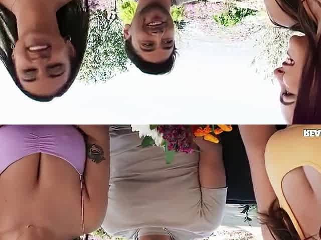 Big Tits Fair