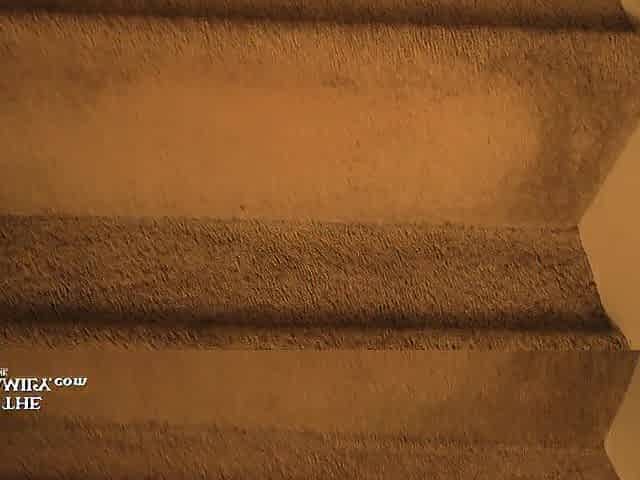 Large Butt mother I'd like to fuck Step Mamma Wakes Up Slutty! - AITSF240829 1of3 FREE