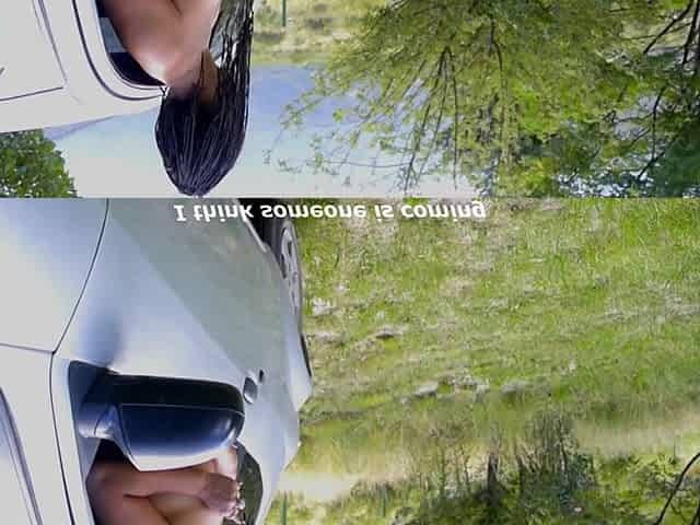 Wife fucking stranger in the park, dogging