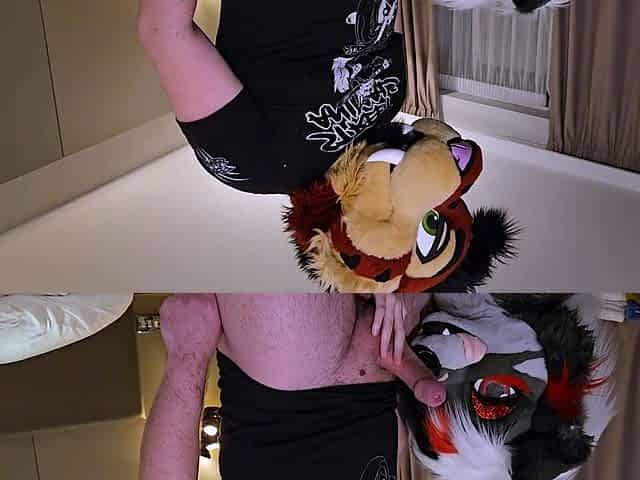 Furry Girl rides thick cock then fucked n' creampied