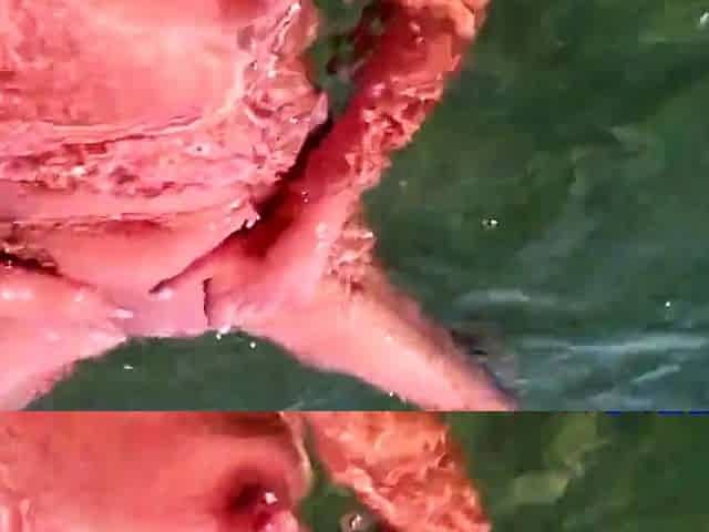 Naked Swimming MILF at the Beach