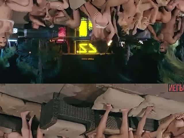 Zz House Orgy