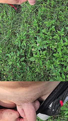 Pissing in the sun ???? and cumming in the garden ???????? I'm becuming adickted to pee porn!