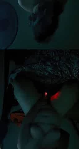 ASMR riding Chance