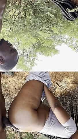Outdoor Exploring Nature
