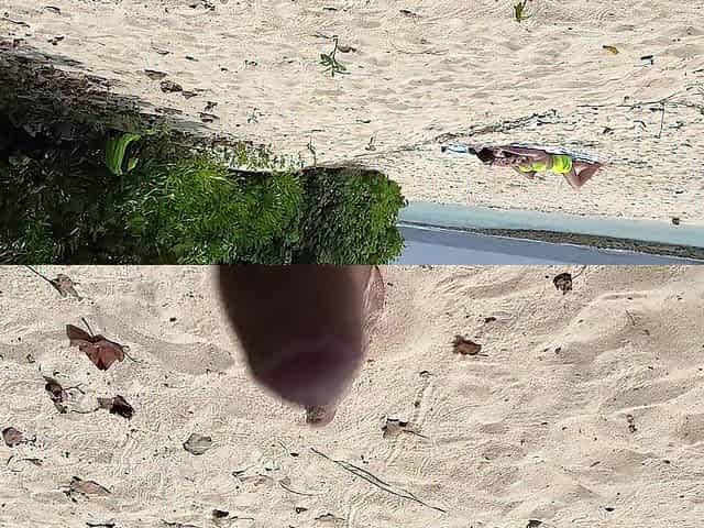 Pervert cummed on cuties whilst they were sunbathing on a public beach