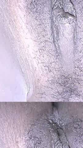 Interracial Fuck and Creampie Amateur