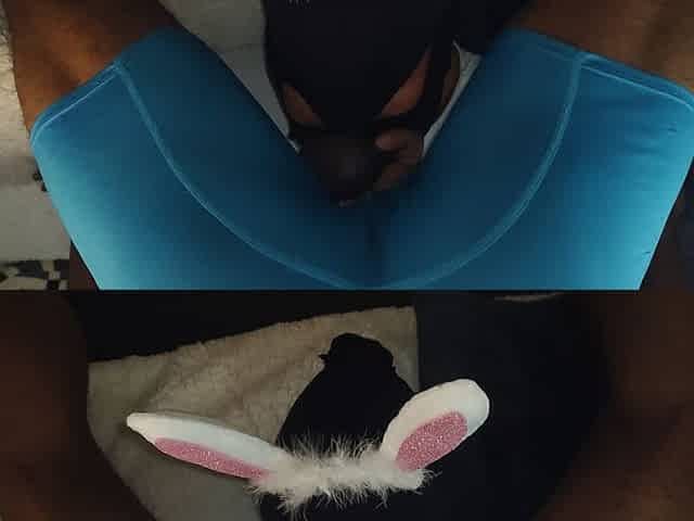 Season Three - Easter Cum Early