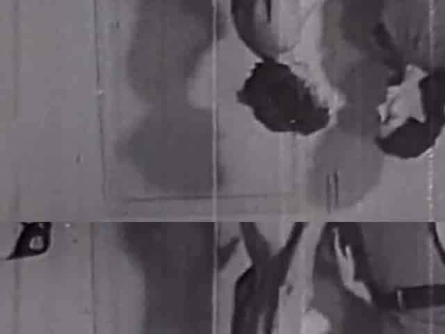 Two vintage brunette whore in homemade threesome