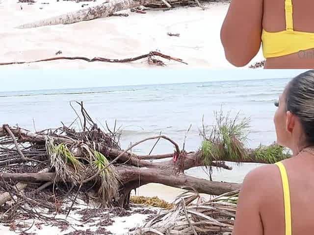 Amateur blonde slut outdoor banging following picnic