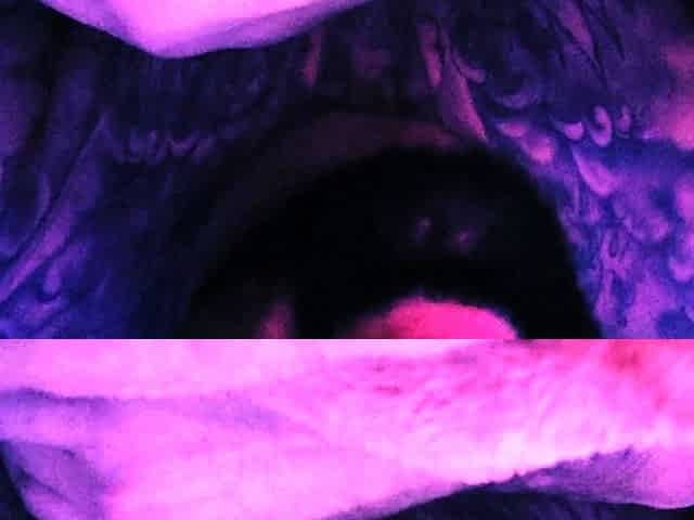 YOU ARE ALWAYS MY LITTLE SLUT, WITH AFTER CARE ASMR