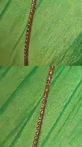 Friend's Step-mom Fucking in Green Saree with Subtitles -1