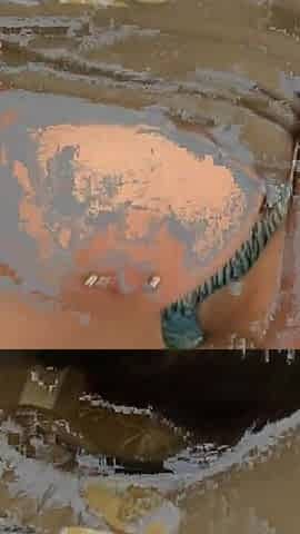 Pierced Tits Exposed and Hairy Pussy Fingered Deep