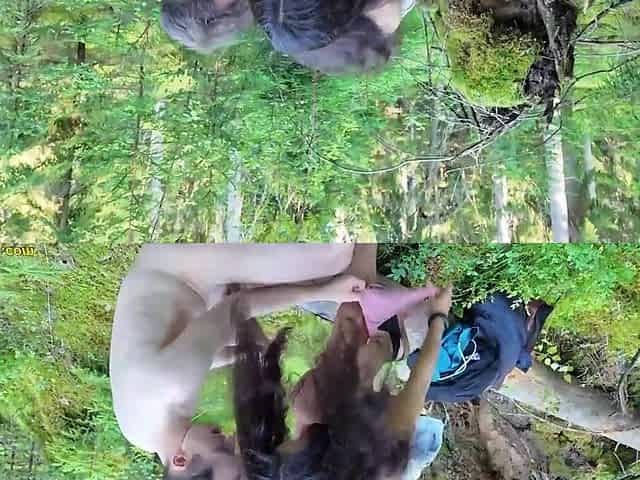 pair banging anal in public forest