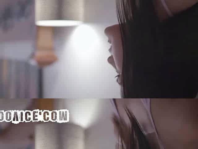 Sexy Oriental Playgirl Drilled Coarse by The Census Taker