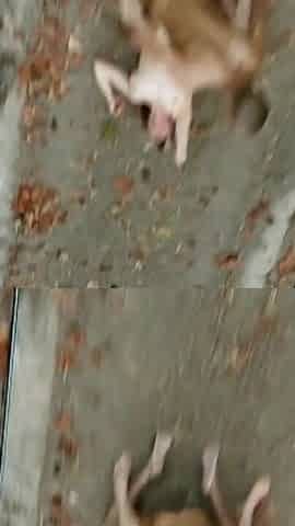 Caught with the Drone