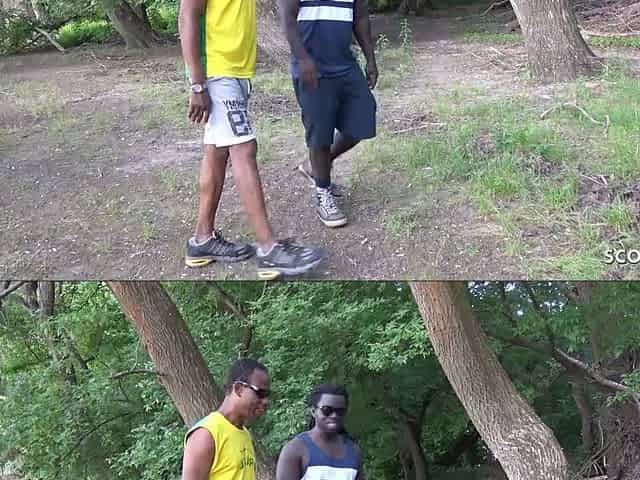 2 BBC Refugee Entice German Teens to Screw in Public Park