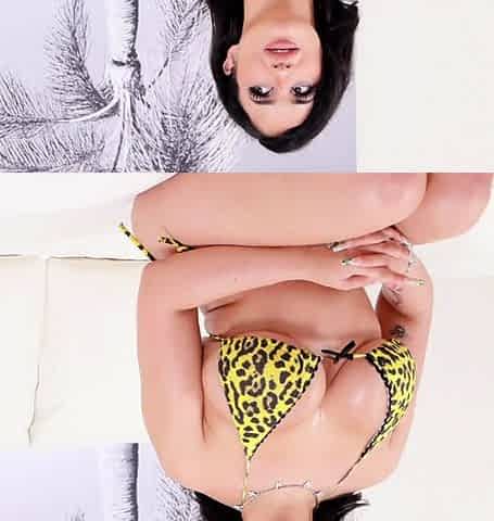 Nia Bleu - The Curvy & Flexible Fuckdoll