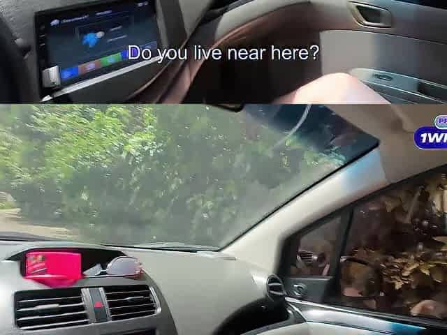 Gorgeous golden-haired gal with a large butt has sex in a stranger's car.