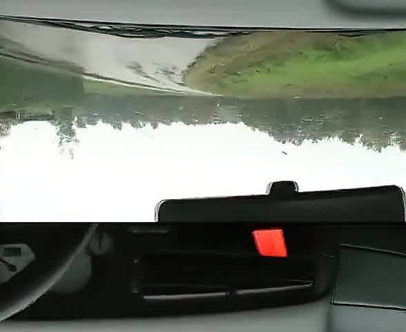 Redhead Hitchhiker with a Crisp Body
