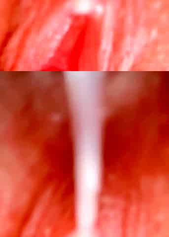 Big ass hoes in a group close up fuck pov