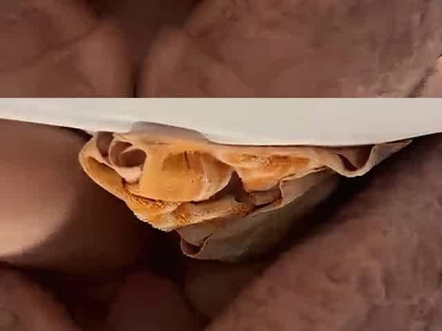 Screwing from behind