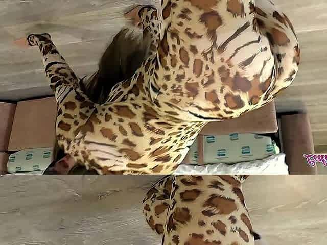 Brunette hair in leopard dress gets drilled hawt and sucks a large rod