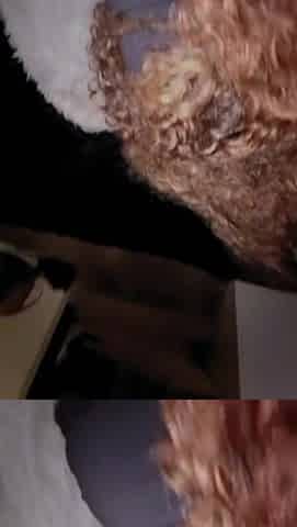 Teacher Caught after School
