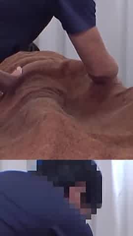 Asian Angel 26627
