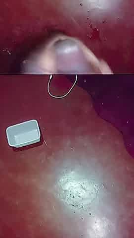 Abode hunk masturbating his ebony hard darksome penis when alone in the abode ????????????