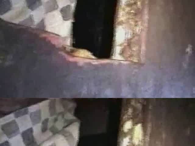 Licking Her Glory Hole
