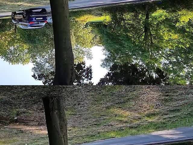 Risky Public Sex with my Wicked Neighbor in the Local Park