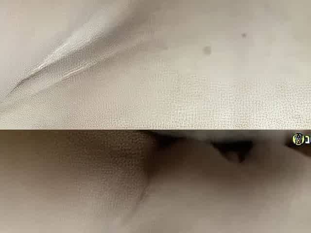 Fabulous Adult Video Doggy Style Exotic Watch Show