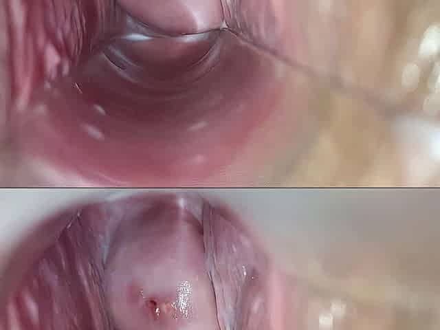vagina climax