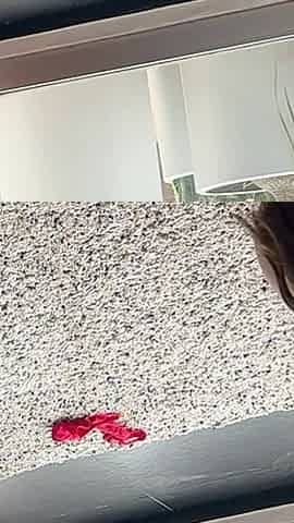 Kelly Horny Fuck Doll Alternative Angles