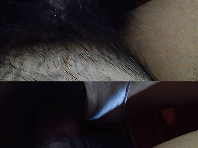 Flat Asian gets Fuzzy Wet Pussy Fucked with Panties Aside
