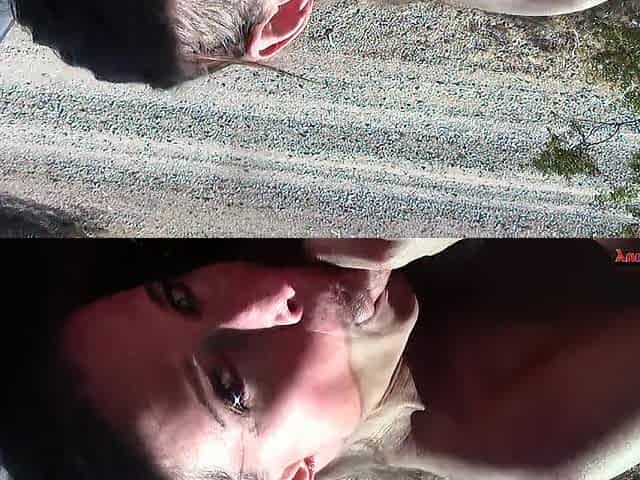 Bikini Blow Job Collection two