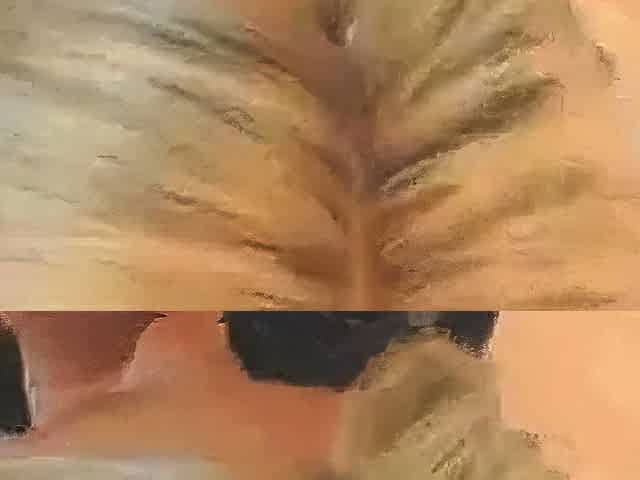 Analsex mit deutschem Amateur-Paar