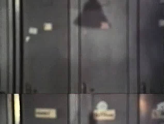 Hardcore Fucking Scenes with Blowjob Giving Brunettes