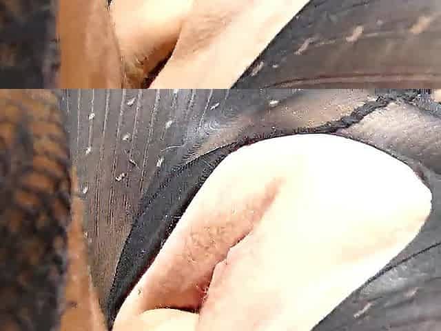 Closeup amateur chunky mother I'd like to fuck little squirting