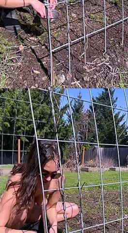 Bustys Cam Webcam Big Boobs Free Big Boobs Cam Porn Video