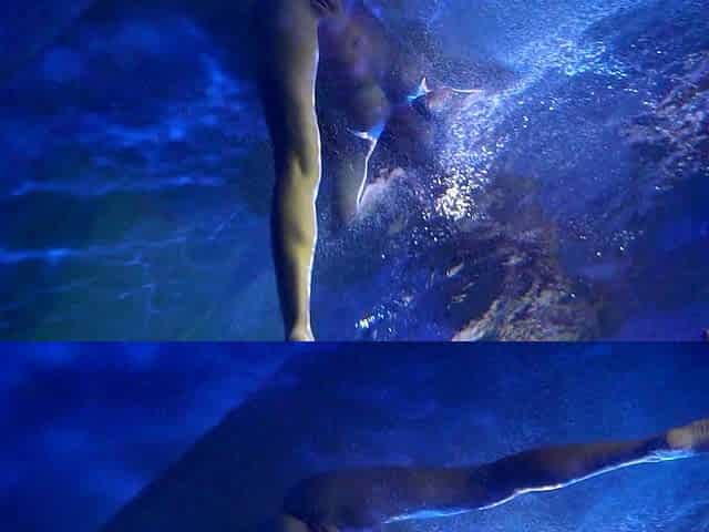 Close up ass fucking