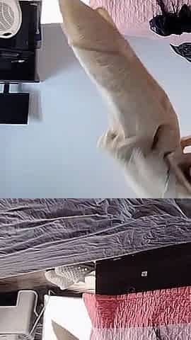 Sexy Mom Dances Naked Around the House. Sexy Brunette Does a Workout at Home Naked.