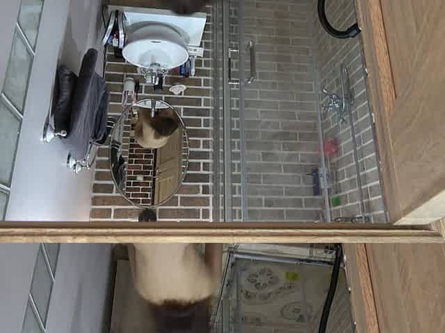 My Stepsister with a Shaved Pussy and Small Tits Is Getting Ready for a Date